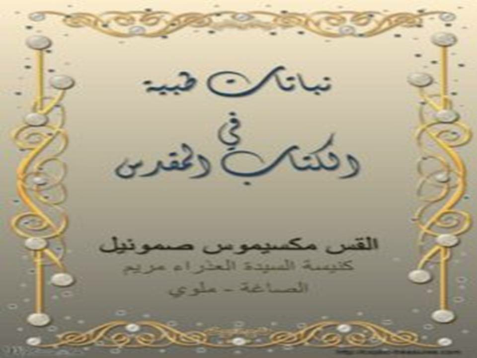 نباتات طبية في الكتاب المقدس